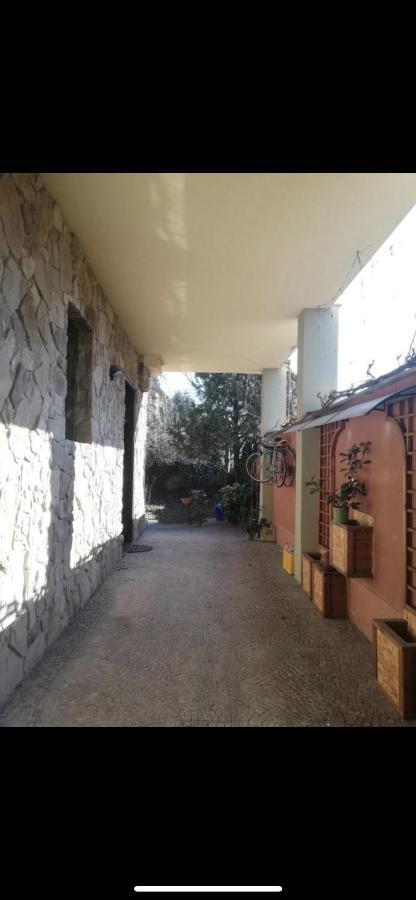 Yellow House Apartment Torino Exterior foto